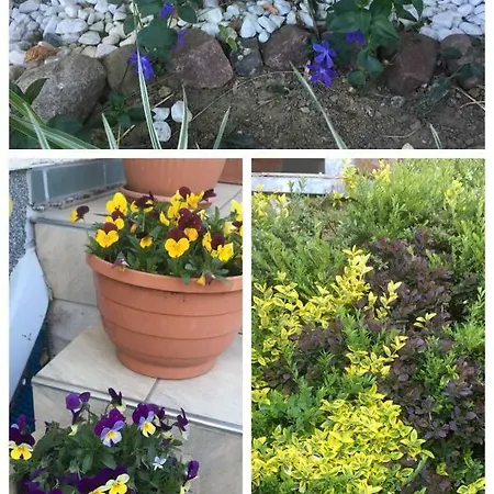 Am Fechtertor- Eingang Zum Schlosspark Putbus